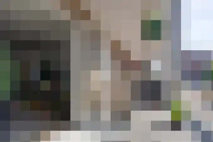 Molenplantsoen 4 Purmerend thumbnail 13