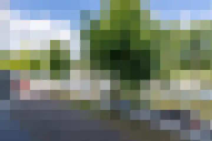Molenplantsoen 4 Purmerend thumbnail 23