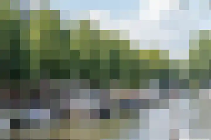 Molenplantsoen 4 Purmerend thumbnail 45