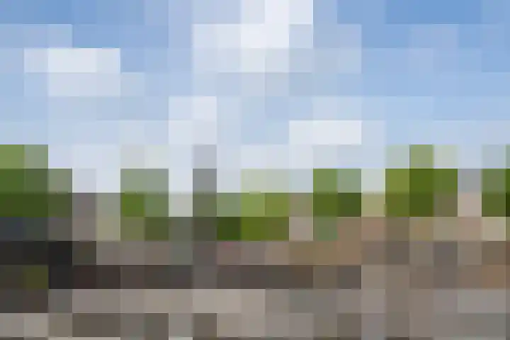 Molenplantsoen 4 Purmerend thumbnail 46