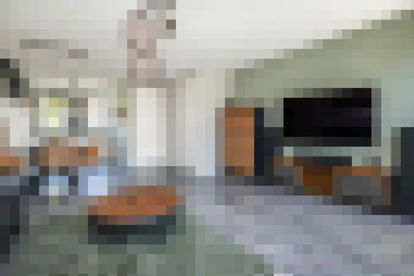 Molenplein 10 Middelharnis thumbnail 10