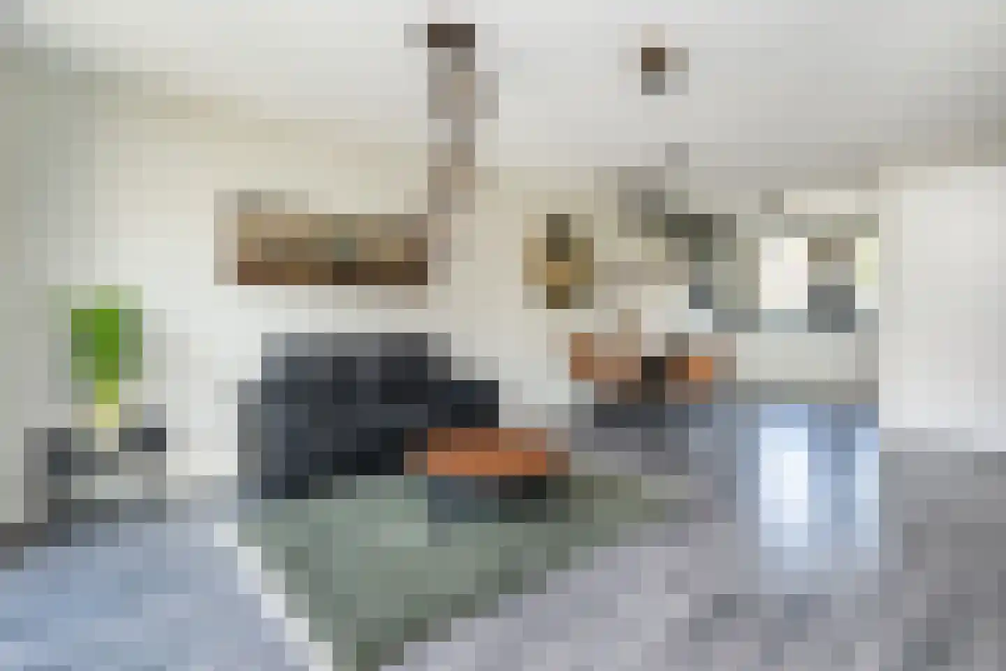 Molenplein 10 Middelharnis thumbnail 11