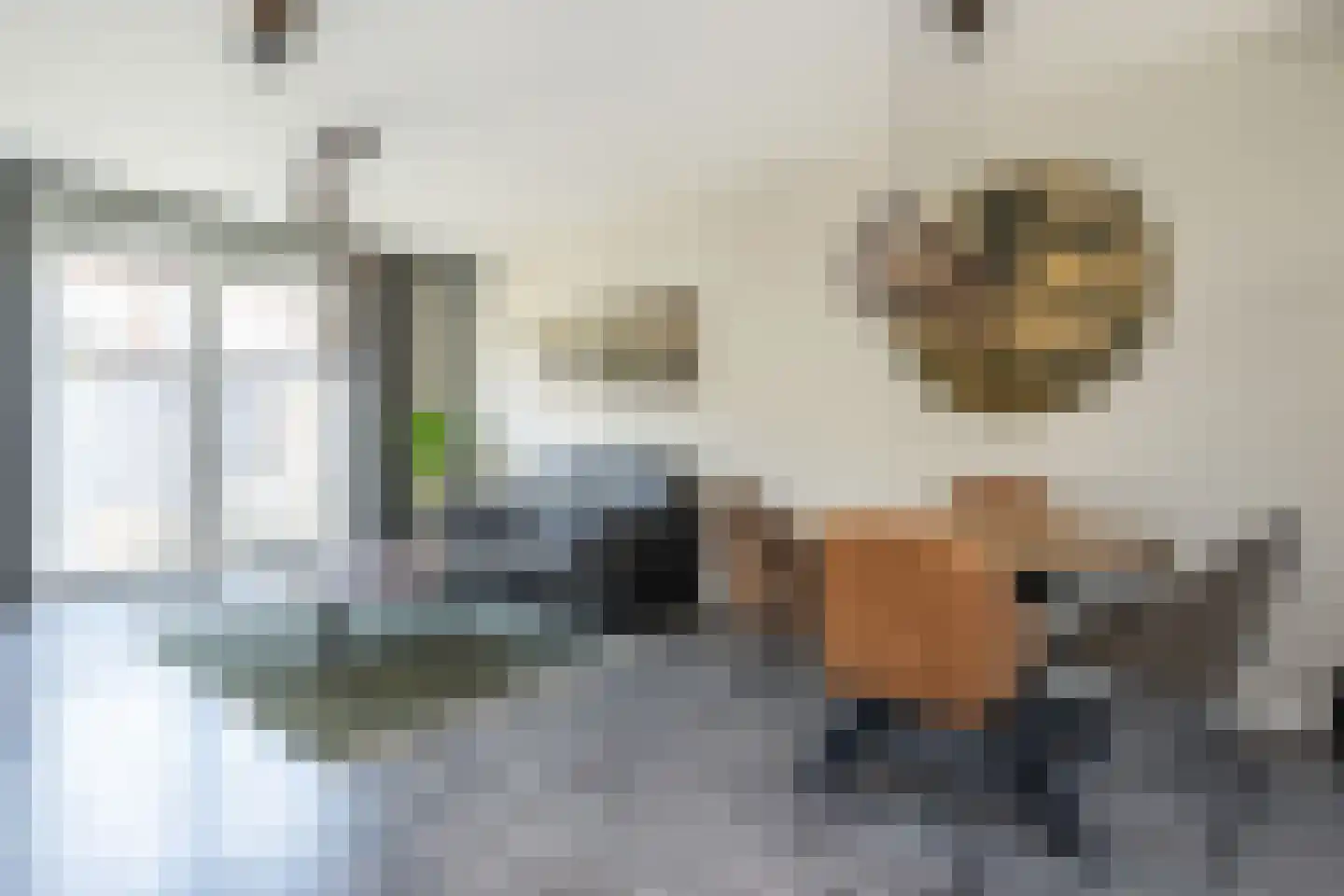 Molenplein 10 Middelharnis thumbnail 7
