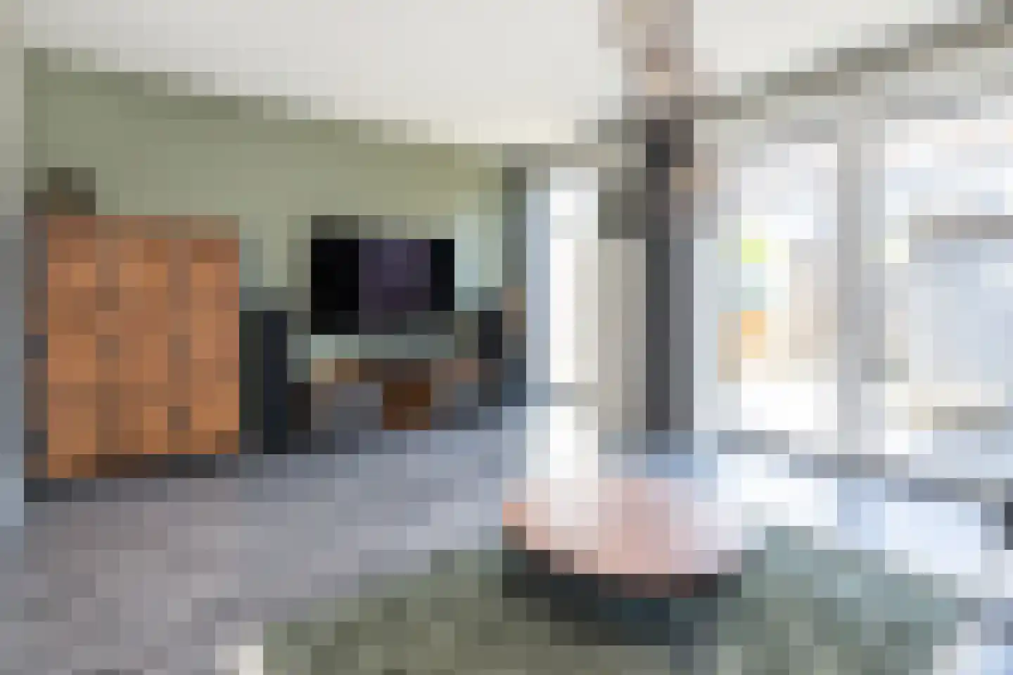 Molenplein 10 Middelharnis thumbnail 9