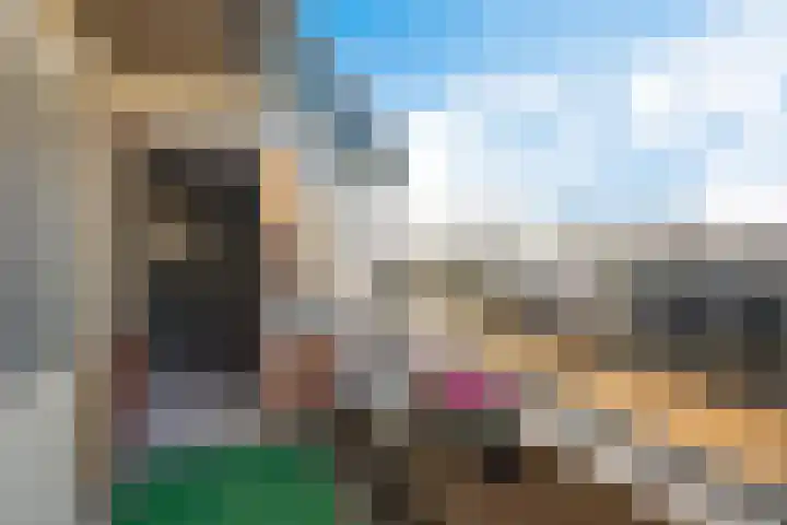 Molenplein 18 Ter Apel thumbnail 21