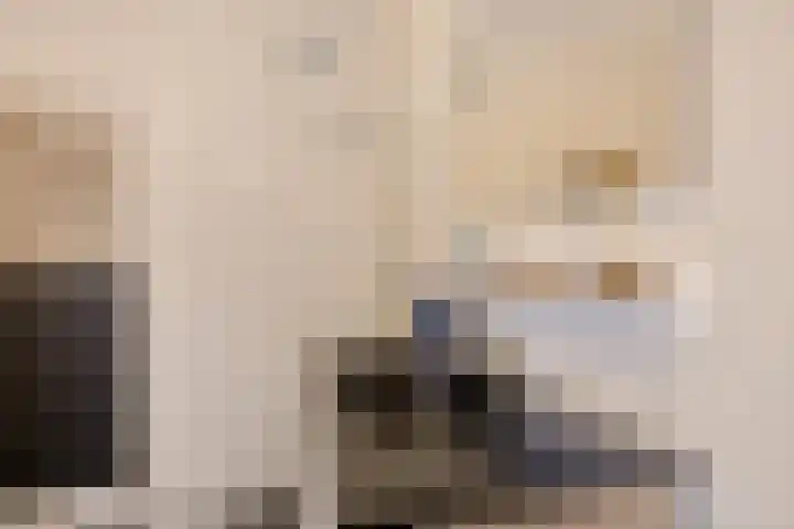 Molenplein 18 Ter Apel thumbnail 25