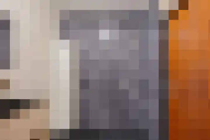 Molenplein 18 Ter Apel thumbnail 26