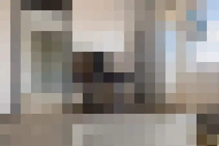 Molenplein 18 Ter Apel thumbnail 9
