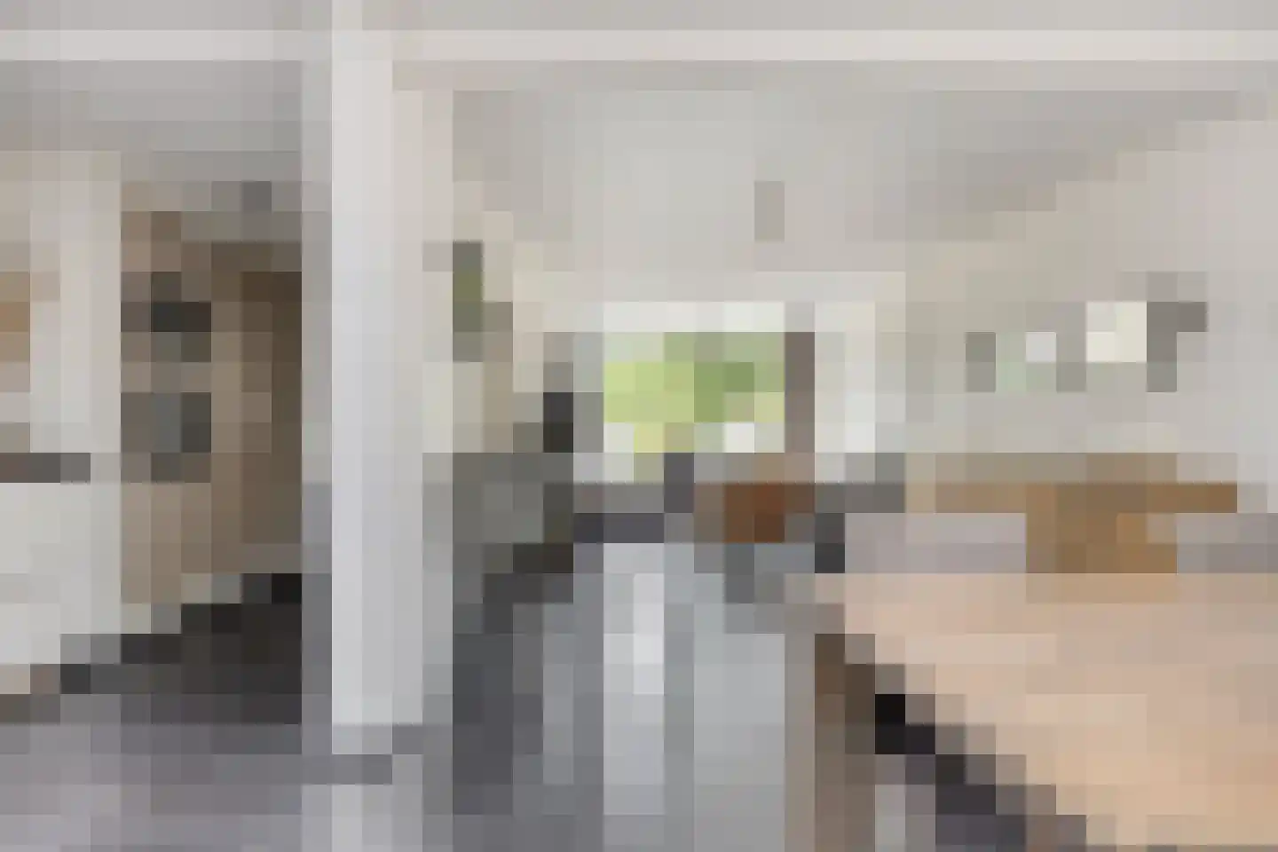 Molenplein 19 Asten thumbnail 12