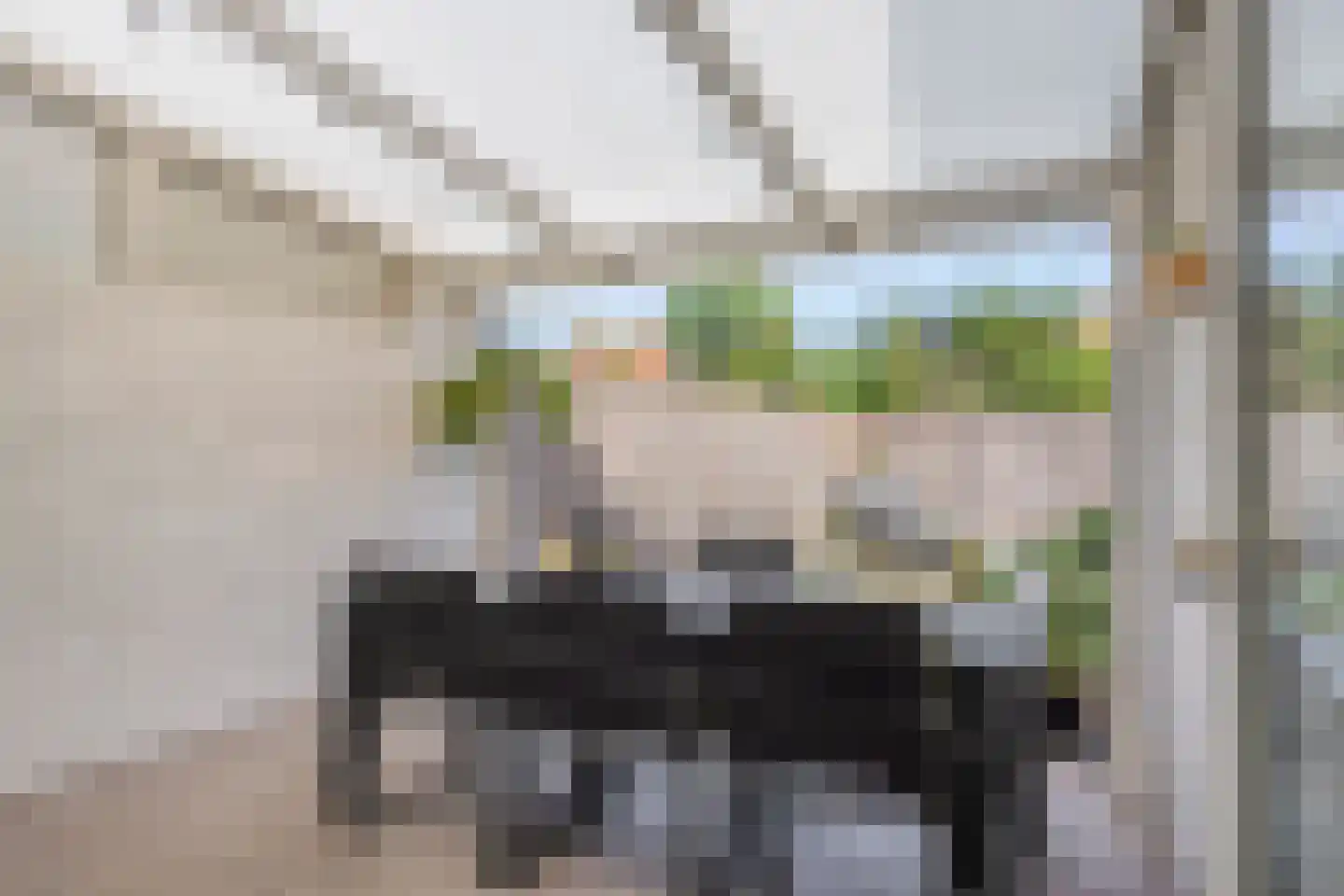 Molenplein 19 Asten thumbnail 32