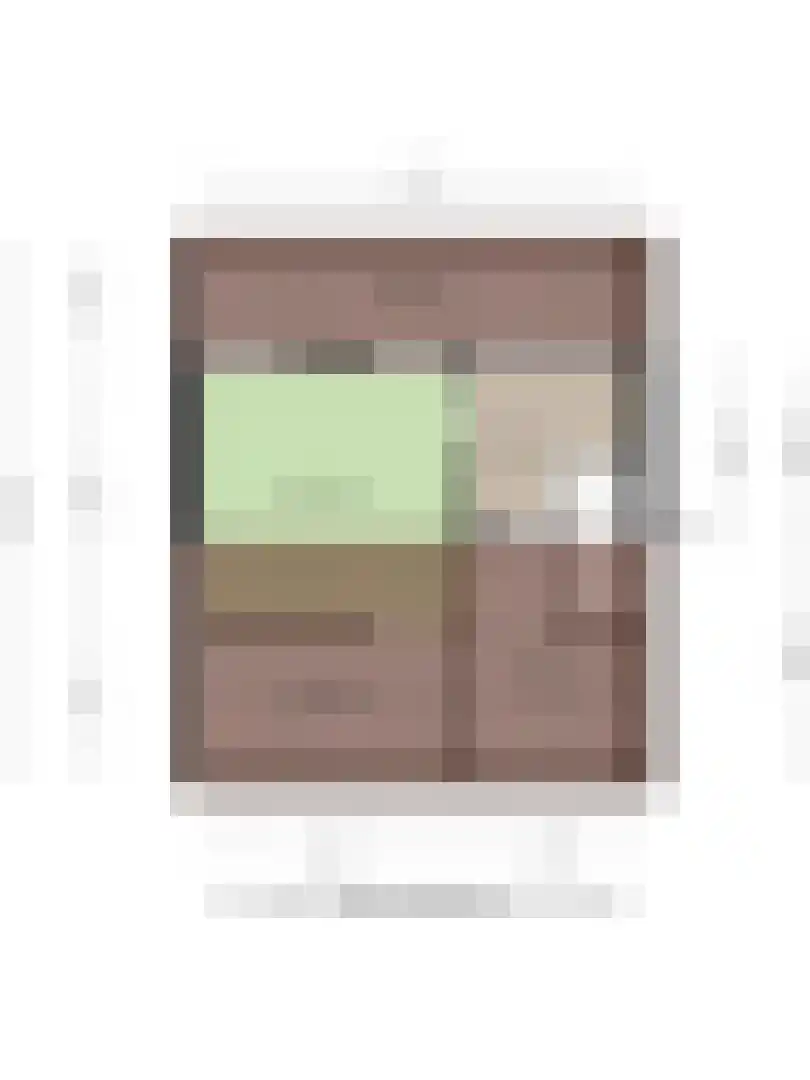 Molenplein 19 Asten thumbnail 41