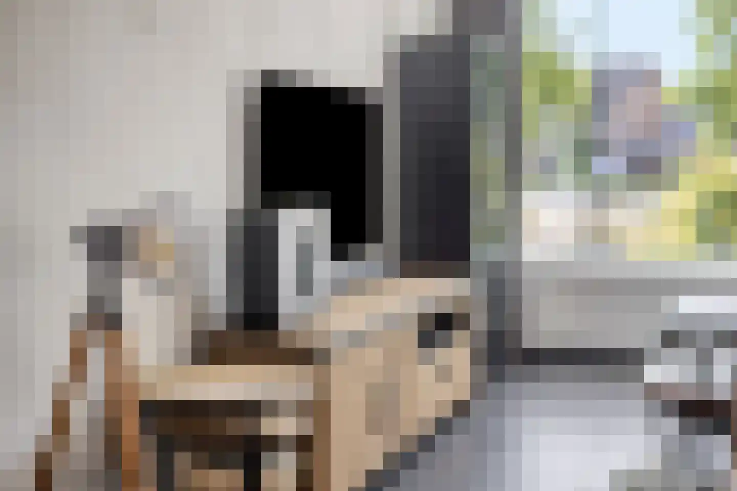 Molenplein 19 Asten thumbnail 6