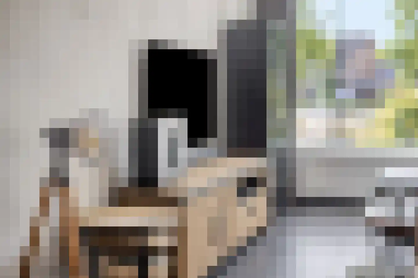 Molenplein 19 Asten thumbnail 6