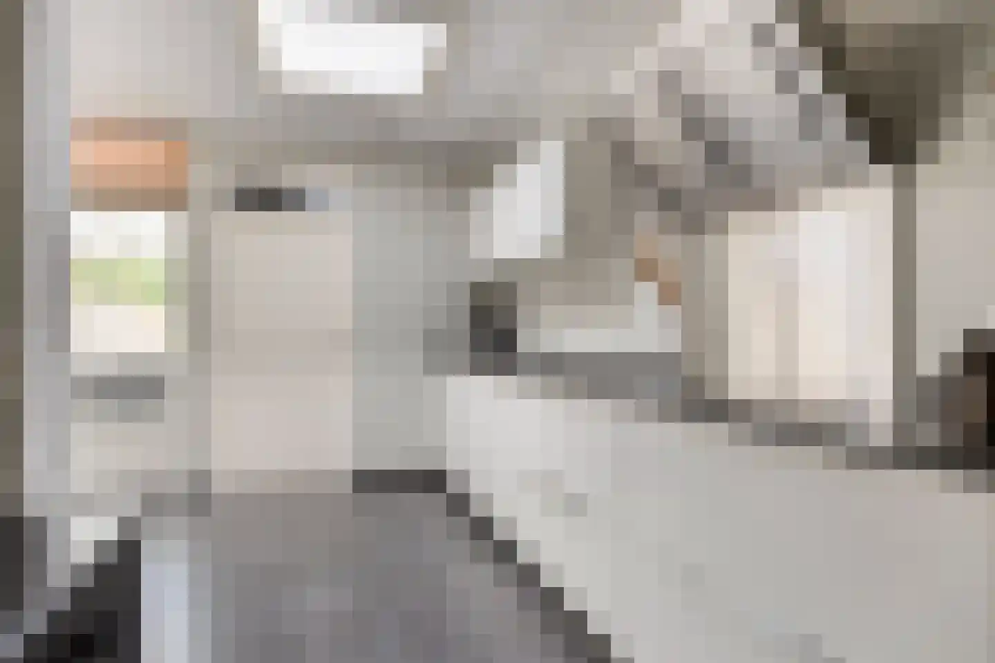 Molenplein 19 Asten thumbnail 8