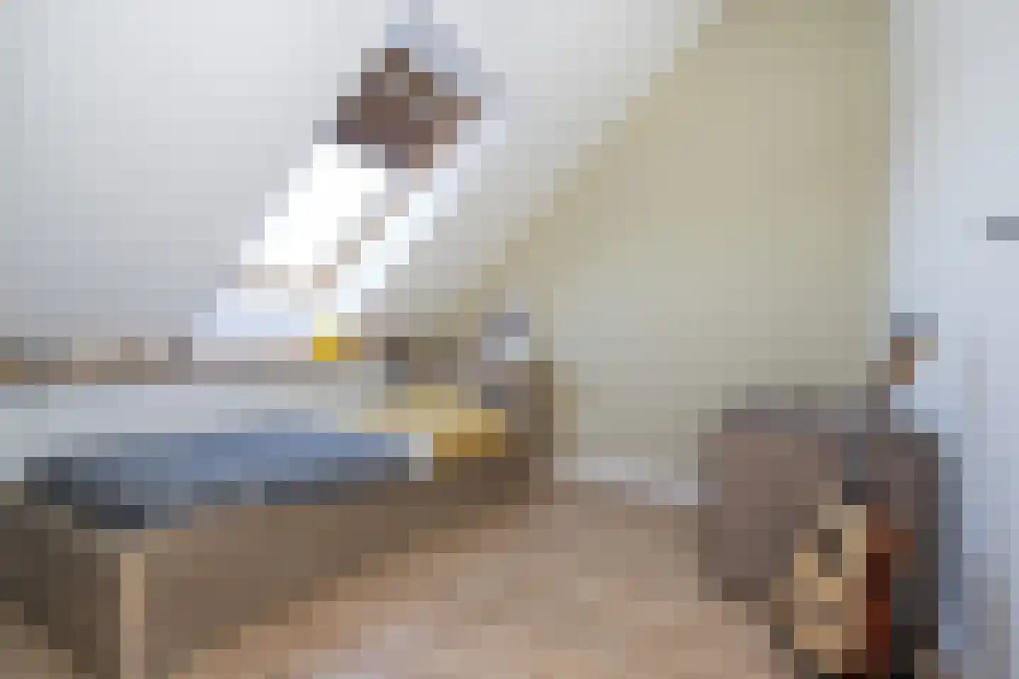 Molenplein 2 Middelharnis thumbnail 19