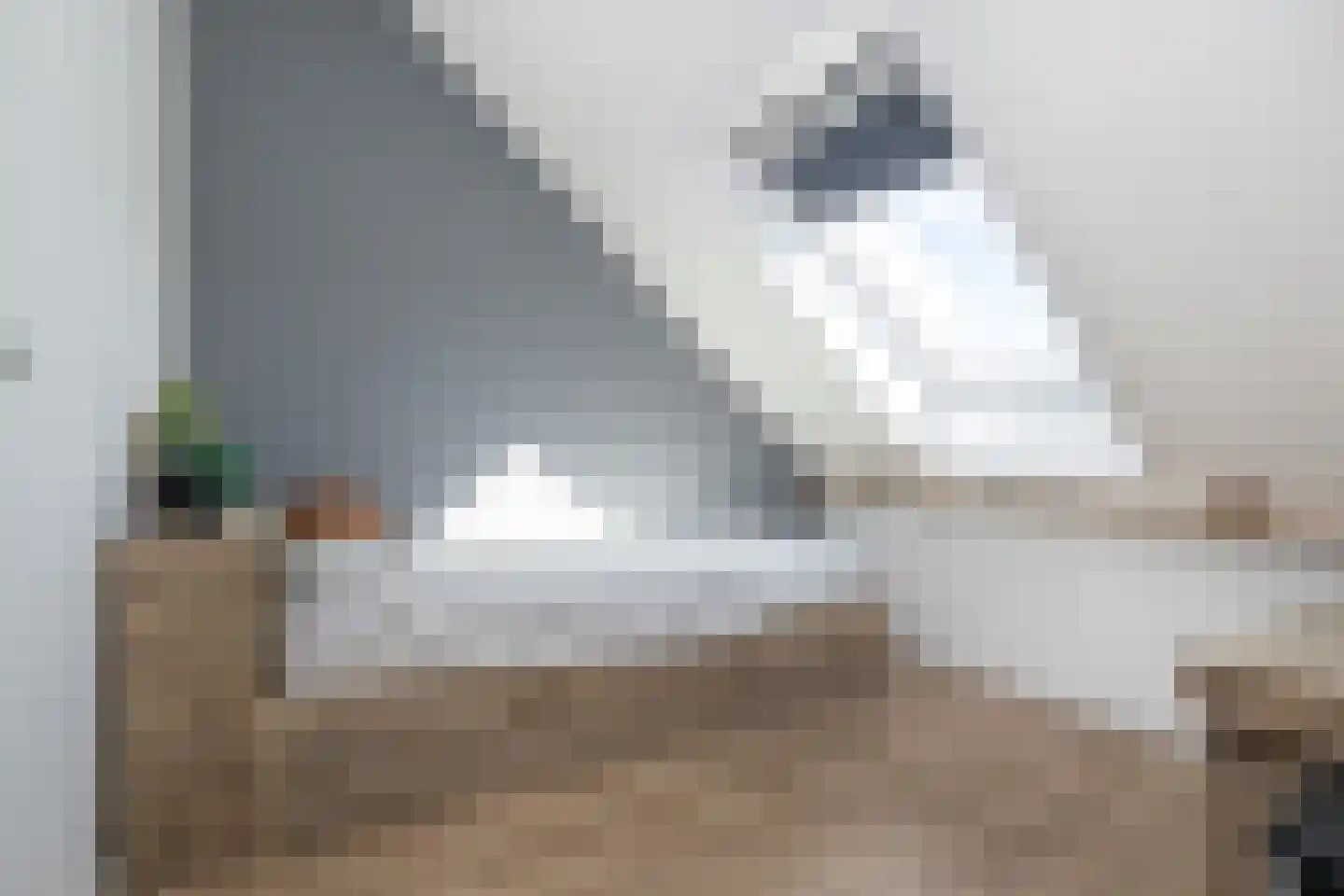 Molenplein 2 Middelharnis thumbnail 20