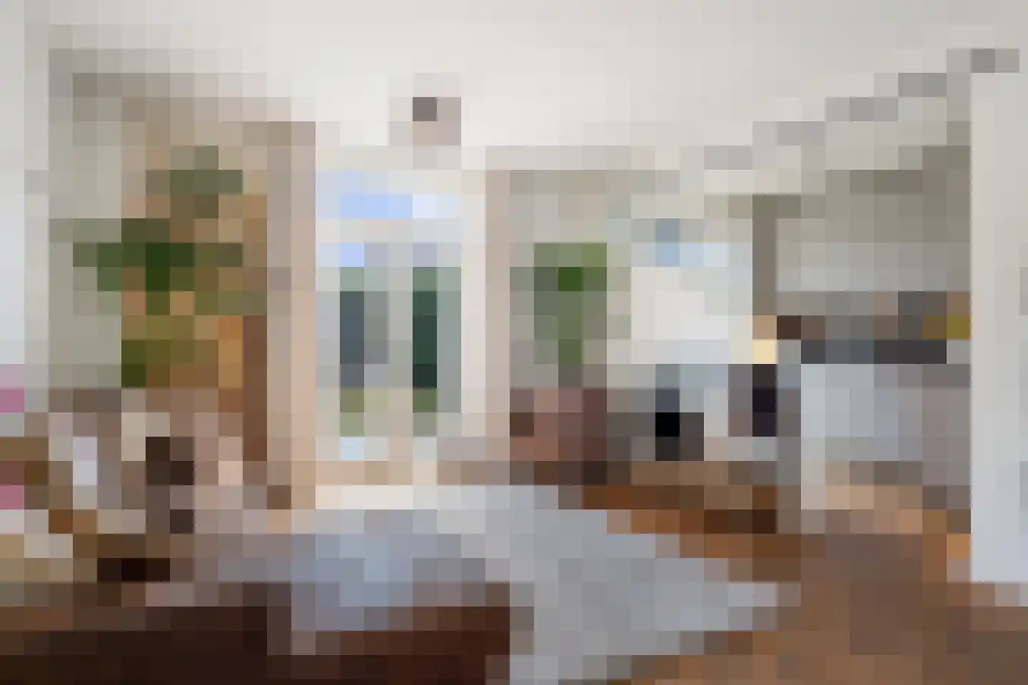 Molenplein 5 Cothen thumbnail 11