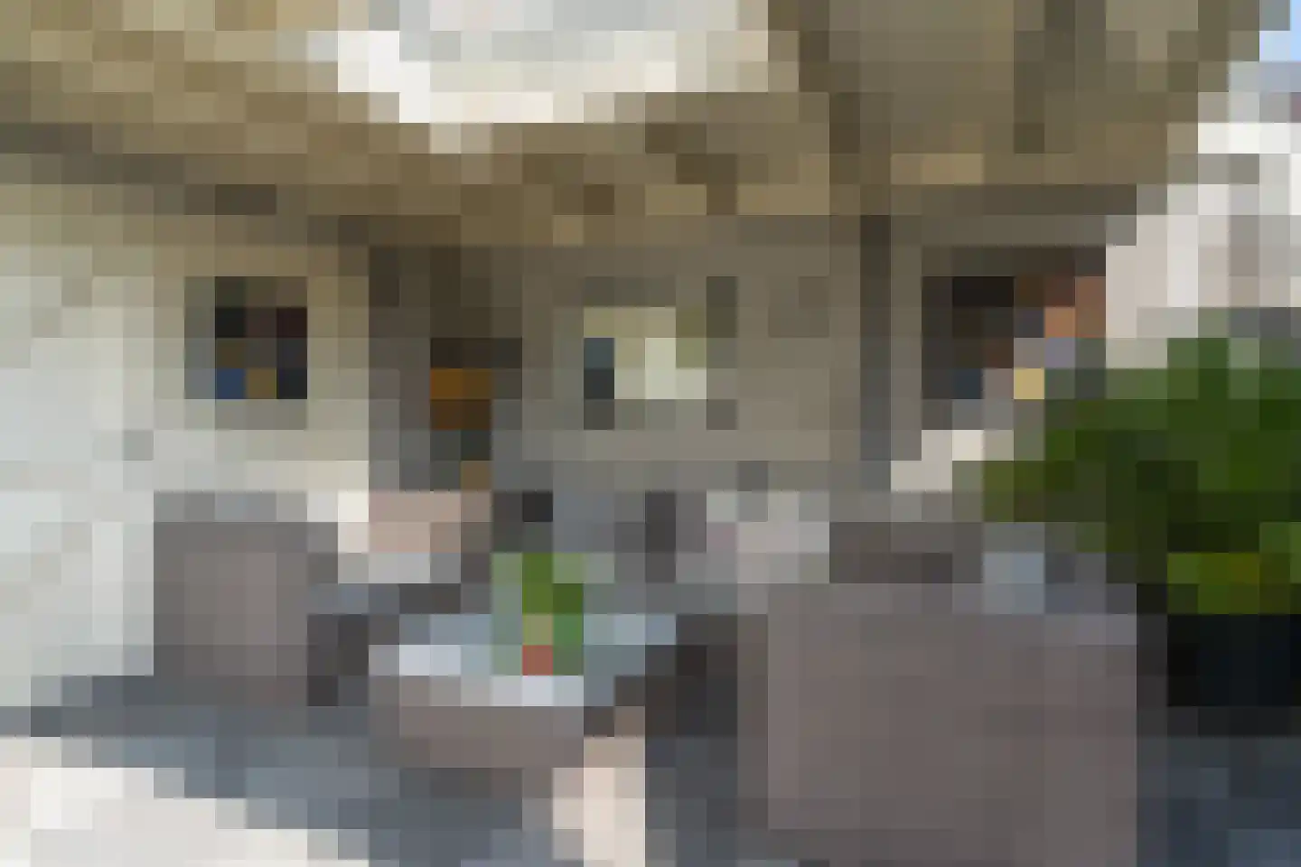Molenplein 5 Cothen thumbnail 21