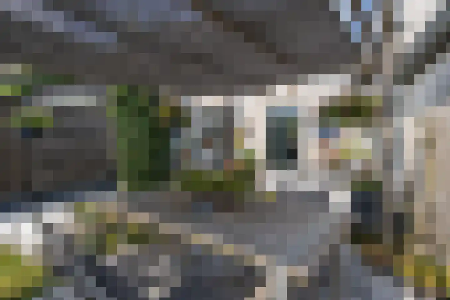 Molenplein 5 Cothen thumbnail 24