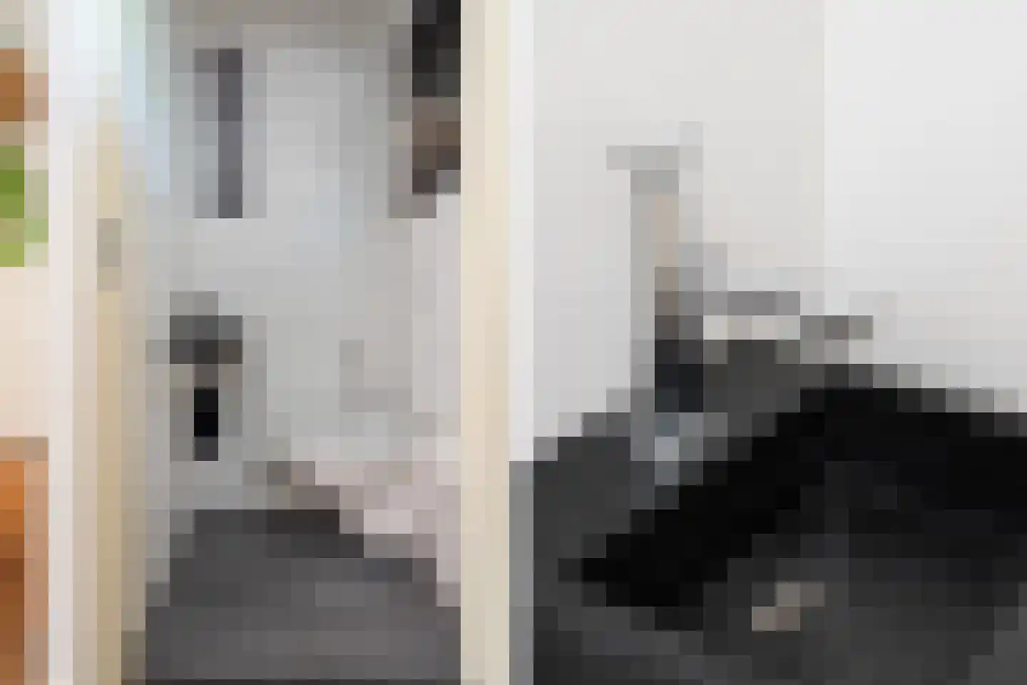 Molenplein 5 Cothen thumbnail 30