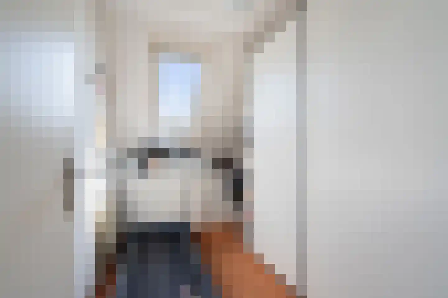 Molenplein 5 Cothen thumbnail 38