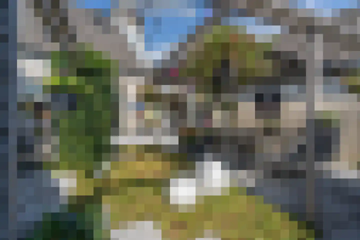 Molenplein 5 Cothen thumbnail 4