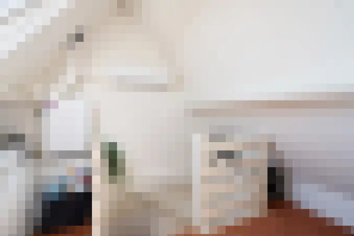 Molenplein 5 Cothen thumbnail 44
