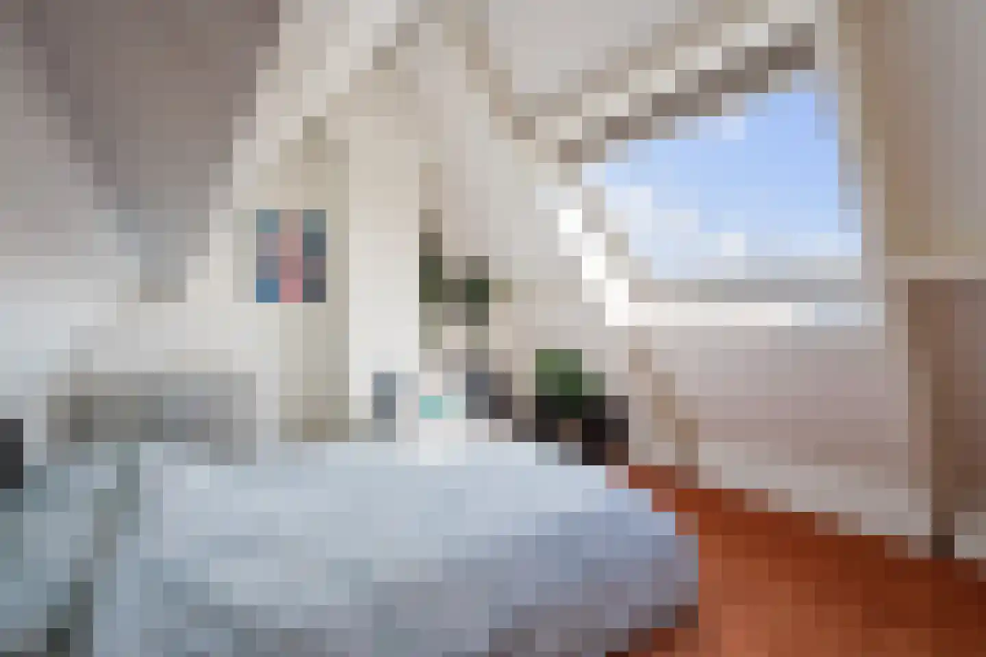 Molenplein 5 Cothen thumbnail 46