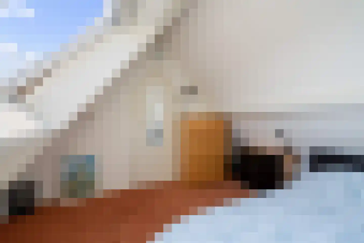 Molenplein 5 Cothen thumbnail 47
