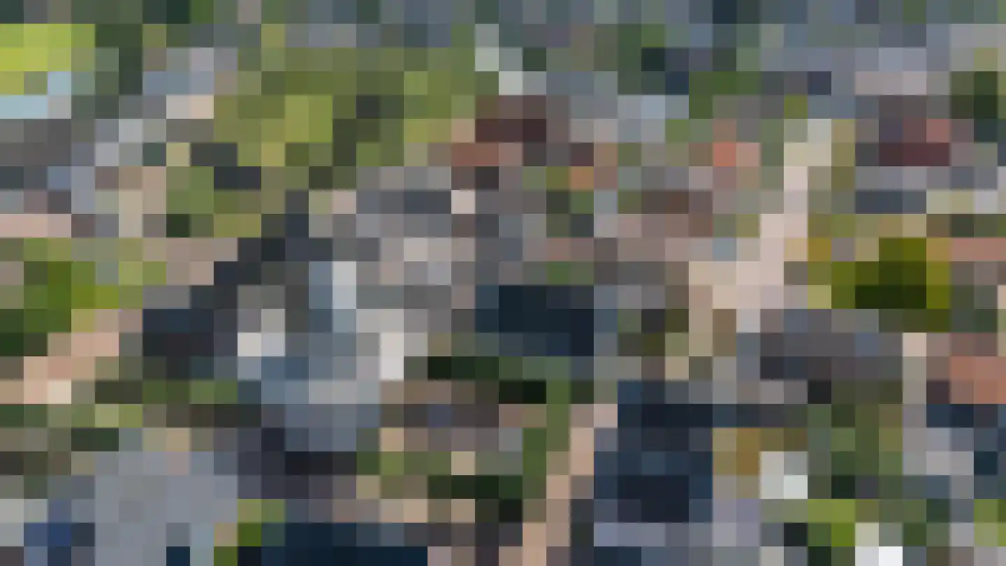 Molenplein 5 Cothen thumbnail 51