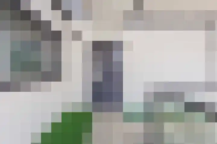 Molenpolder 154 De Meern thumbnail 21