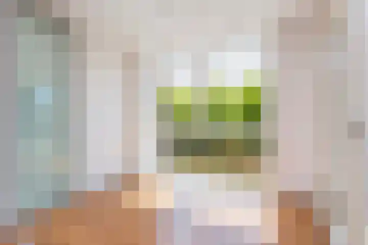 Molenpolder 154 De Meern thumbnail 8