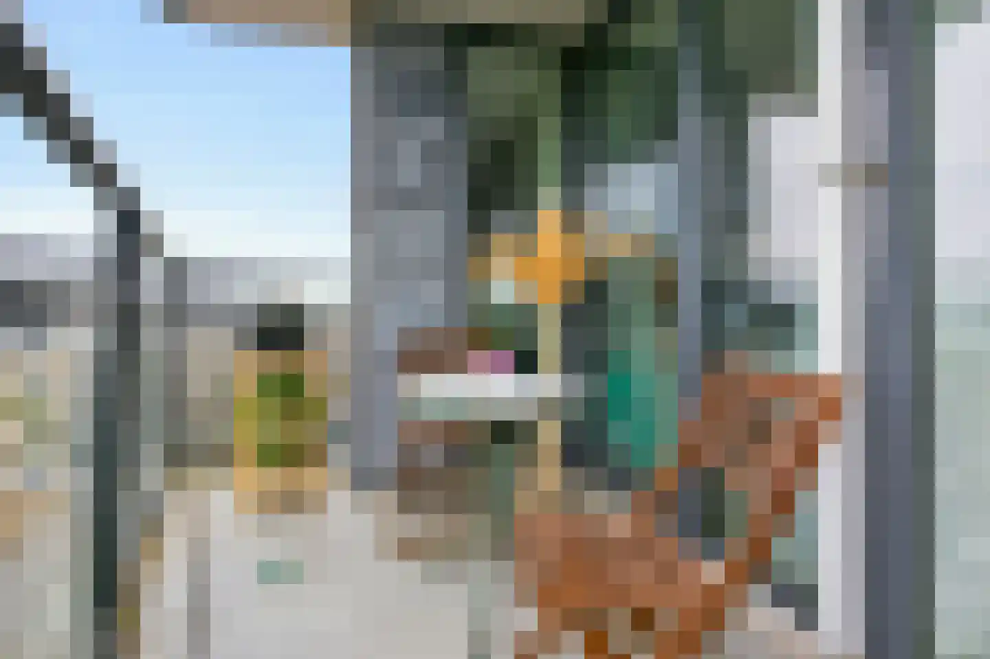 Molenpolder 42 De Meern thumbnail 22