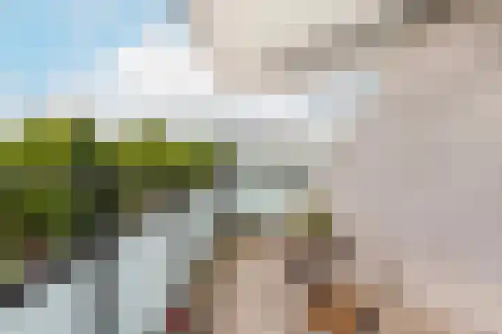 Molenpolder 52 De Meern thumbnail 13