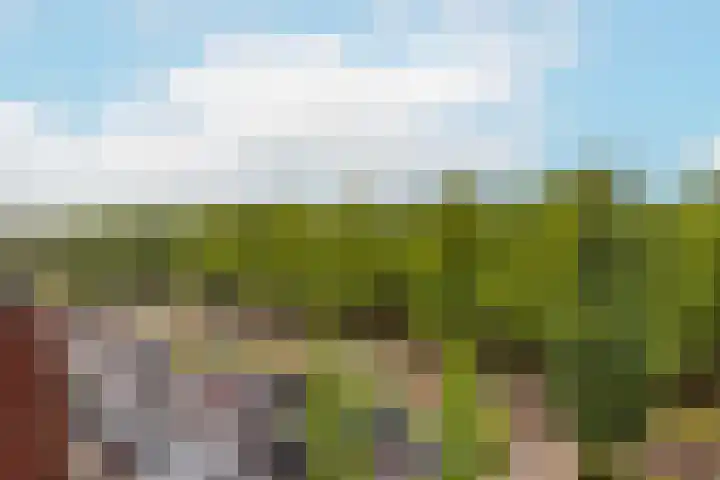 Molenpolder 52 De Meern thumbnail 14