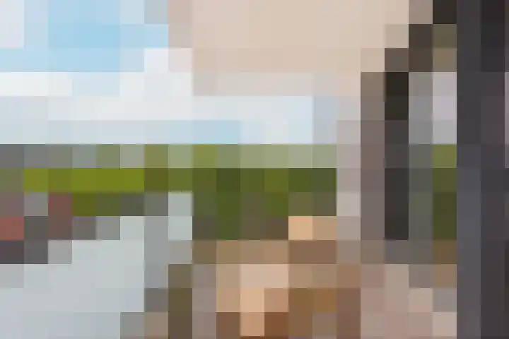 Molenpolder 52 De Meern thumbnail 18