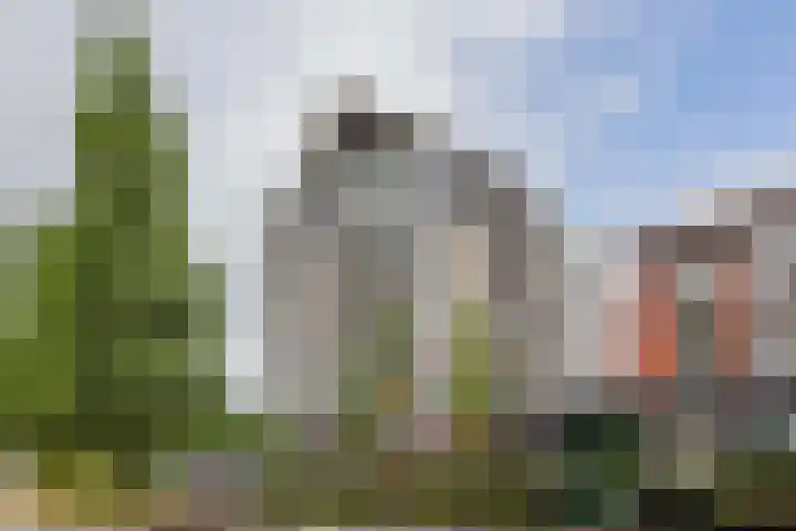 Molenpolder 52 De Meern thumbnail 29