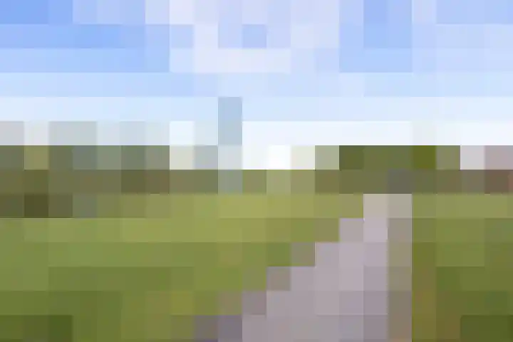 Molenpolder 52 De Meern thumbnail 35