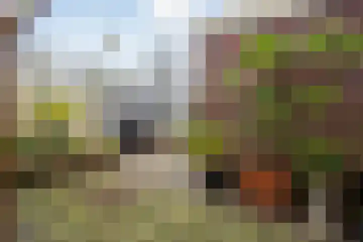 Molenpolder 6 De Meern thumbnail 17