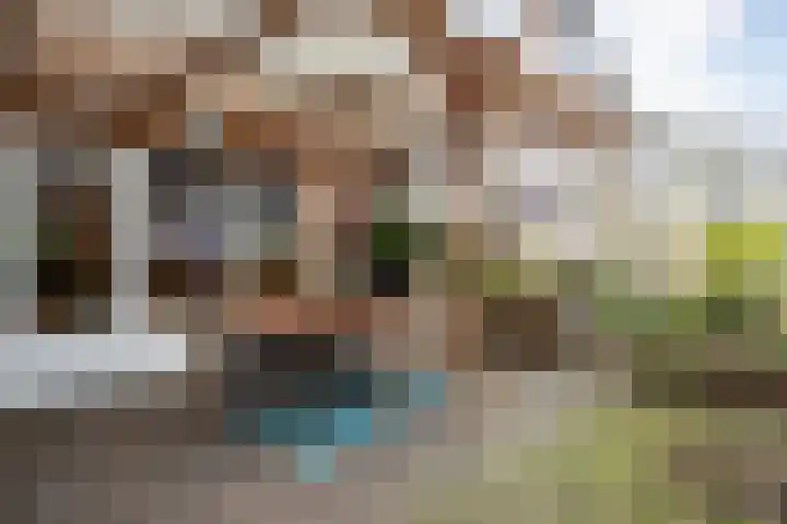 Molenpolder 6 De Meern thumbnail 19
