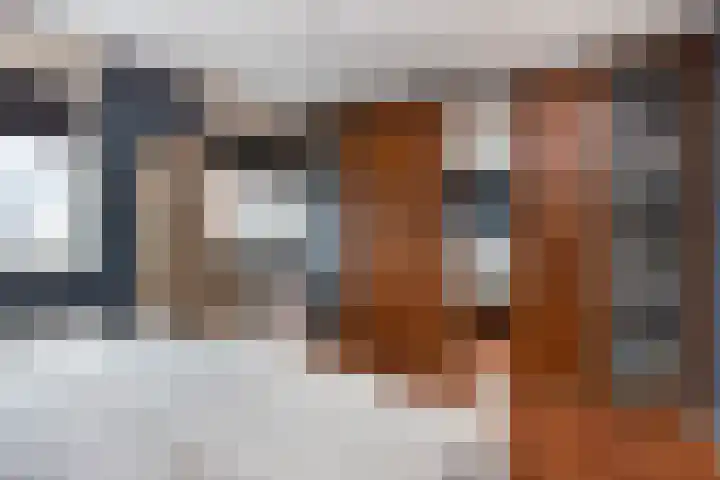 Molenpolder 6 De Meern thumbnail 31