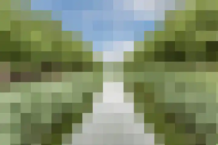 Molenpolder 6 De Meern thumbnail 44