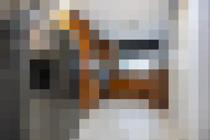 Molenpolder 6 De Meern thumbnail 6