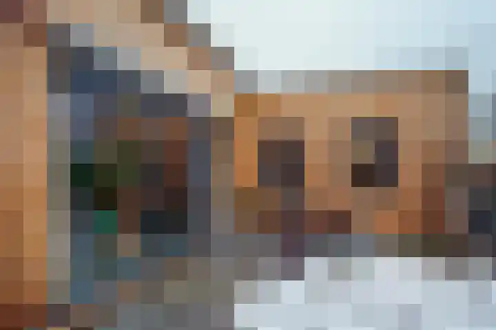 Molenpolderhof 34 Tienhoven thumbnail 13