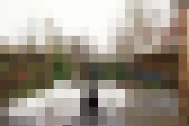 Molenpolderhof 34 Tienhoven thumbnail 15