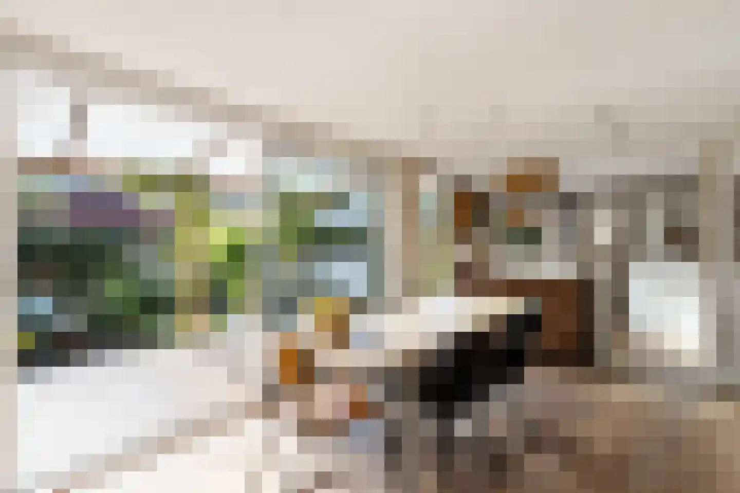 Molenpolderhof 50 Tienhoven thumbnail 11