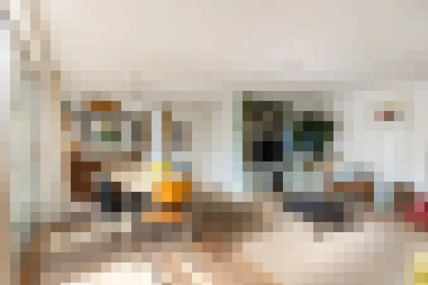 Molenpolderhof 50 Tienhoven thumbnail 15