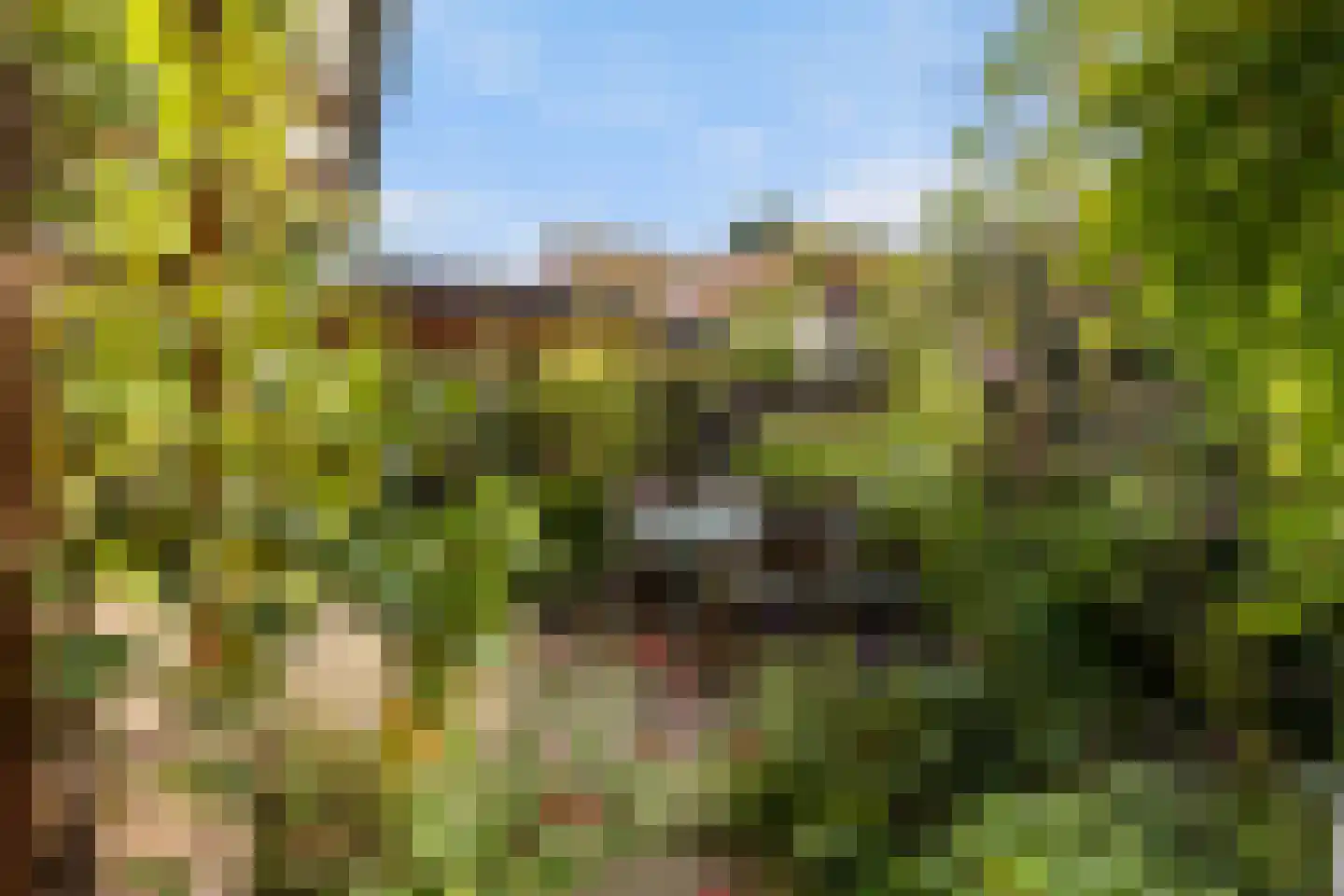 Molenpolderhof 50 Tienhoven thumbnail 24