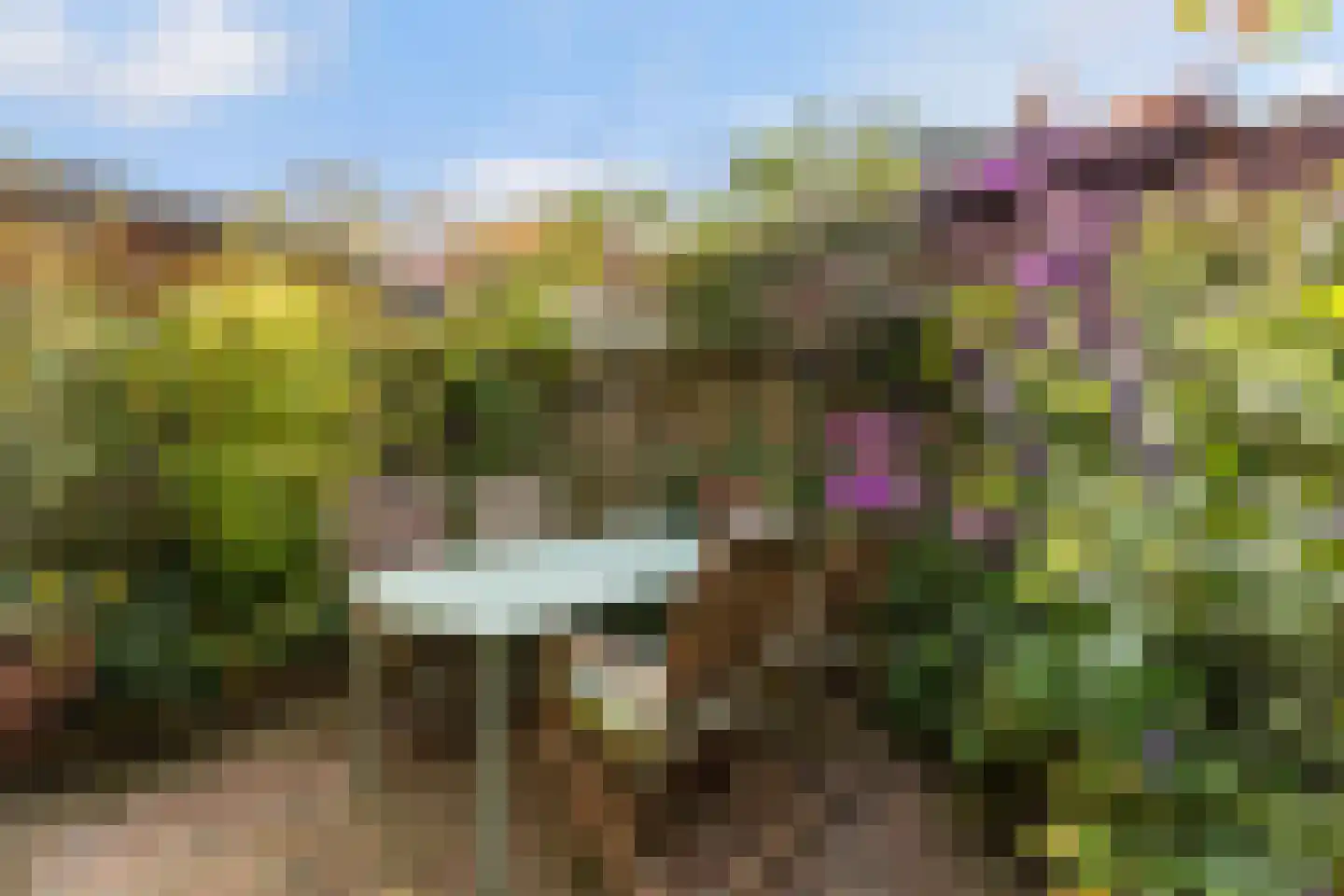 Molenpolderhof 50 Tienhoven thumbnail 25