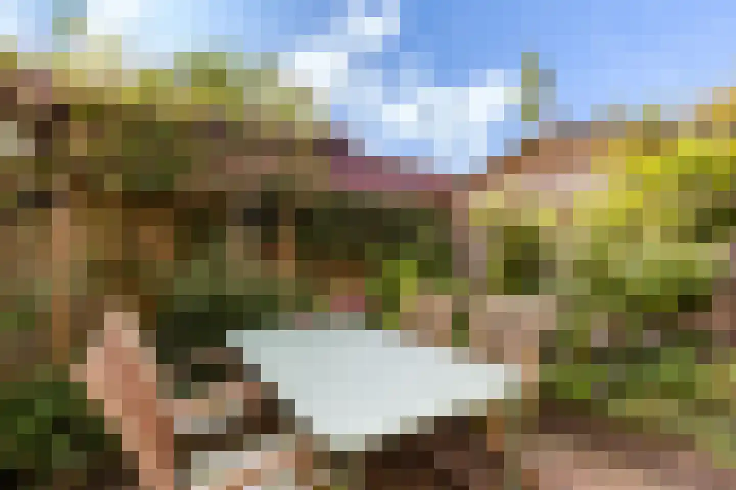 Molenpolderhof 50 Tienhoven thumbnail 26